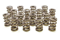 Valve springs