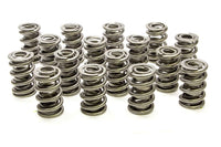 Valve springs