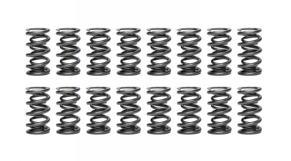 Valve spring