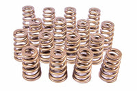 Valve spring