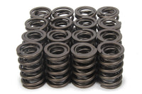 Valve spring